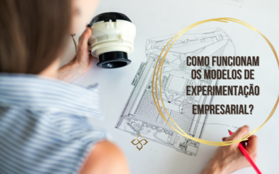 O que é Modelo de Experimentação Empresarial?