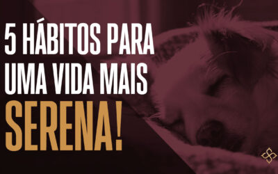 5 hábitos para uma vida mais serena